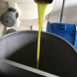 Spremitura-a-freddo-olive-olio-terre-di-fulvio-2